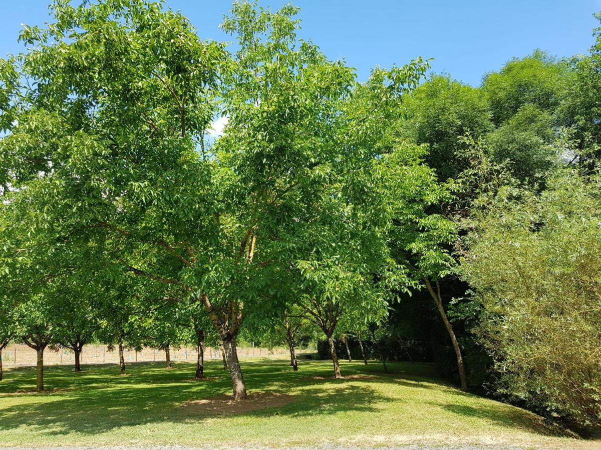 Moulin Du Soustre Bed & Breakfast Cavagnac Dış mekan fotoğraf